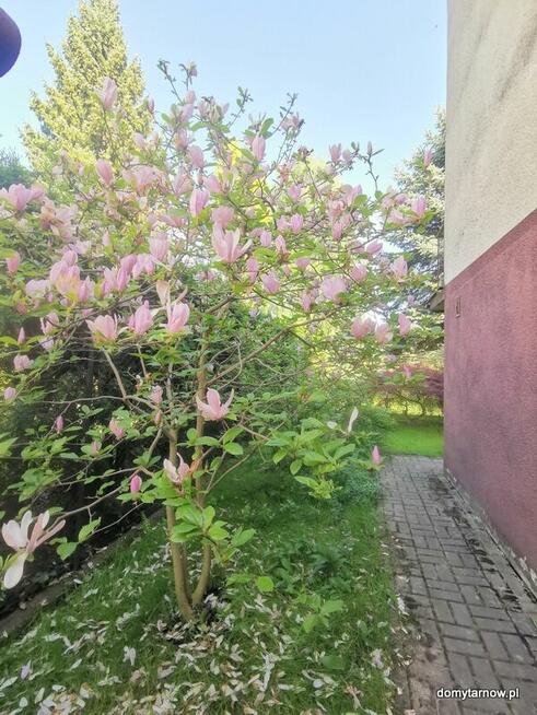 Tarnów dom jedno lub dwurodzinny