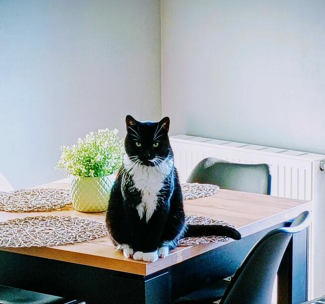 Opieka na 2 tygodnie