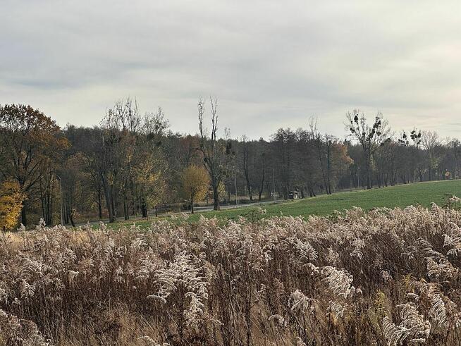 Działka budowlana- Byszewy, gm. Nowosolna