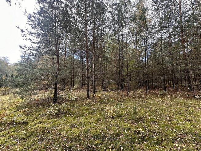 Kwiatkowiece Las- działka pod dom, cisza, las