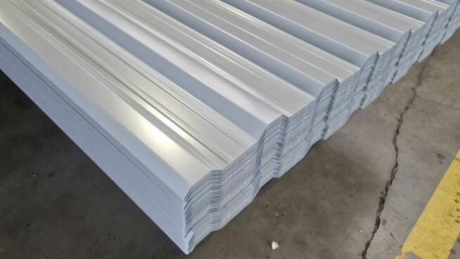 Tania Blacha Dachowa