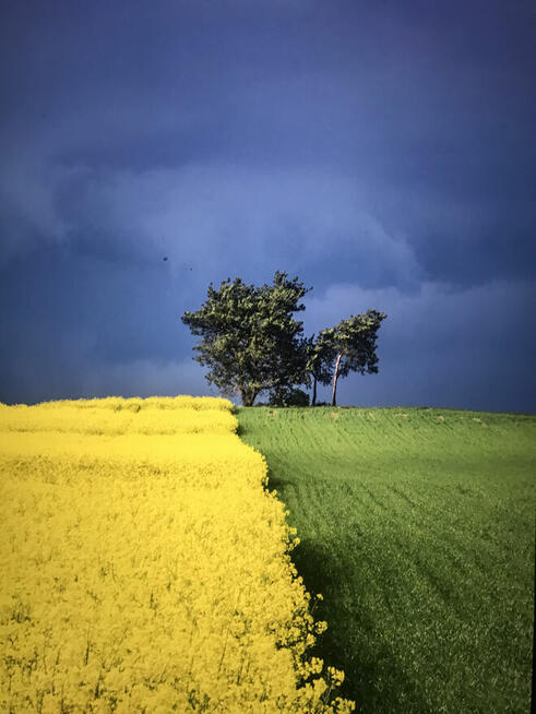 Bratnia dusza poszukiwana...