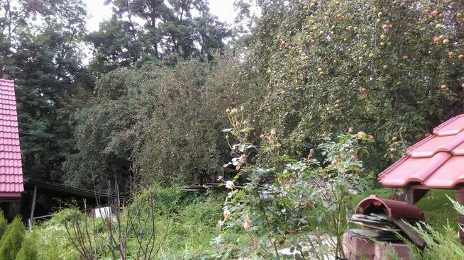 Wynajmę pokój jednoosobowy blisko lotniska, Zabierzowa, Rząs