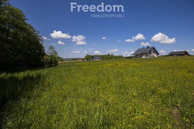 Działka 29,36 ar z WZ, media, Chmielnik
