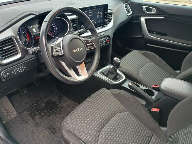 Kia Nowy Ceed 1.5 T-GDI 160KM Wersja M Salon PL Serwis ASO FV23%