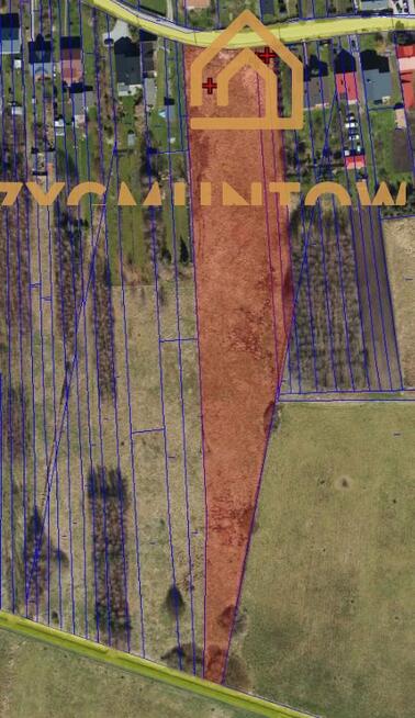 Działka rolna Opoczno Opoczno