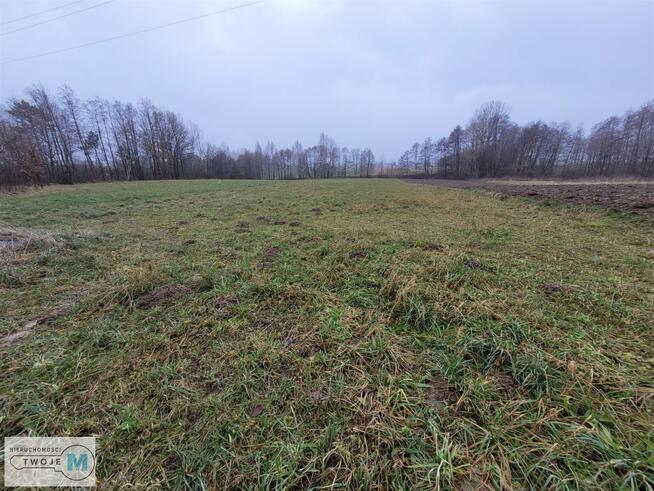 Działka rolna Bodzentyn Sieradowice Drugie