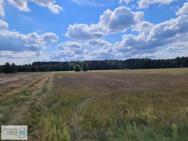 Działka rekreacyjna Kluczewsko Stanowiska