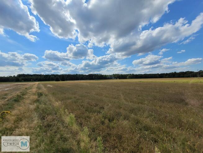 Działka rekreacyjna Kluczewsko Stanowiska