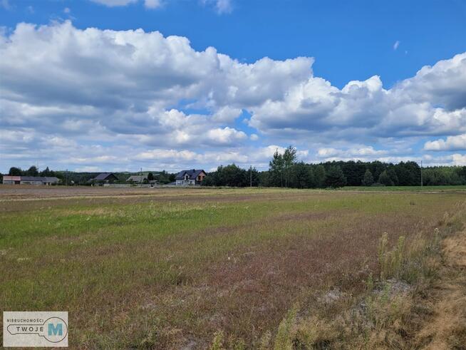 Działka rekreacyjna Kluczewsko Stanowiska