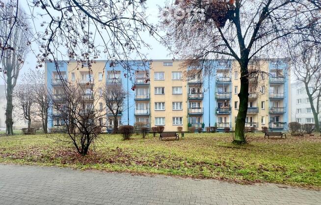 Kształtne 37,5m - idealne na start lub najem