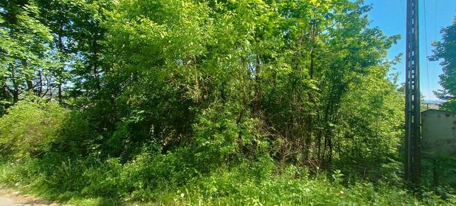 Działka budowlana Chęciny