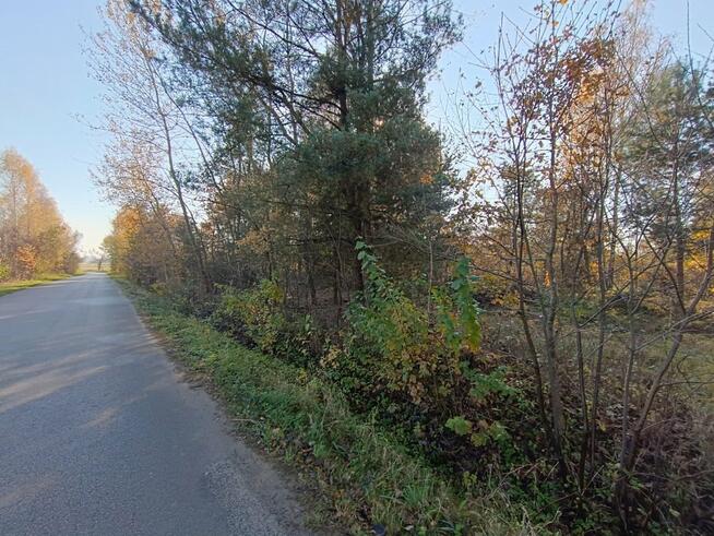 Działka Włoszczowa Dąbie