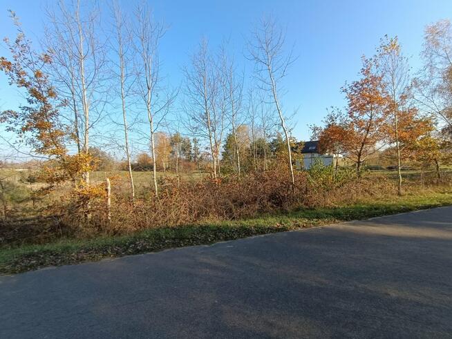 Działka Włoszczowa Dąbie