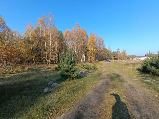 Działka Włoszczowa Dąbie