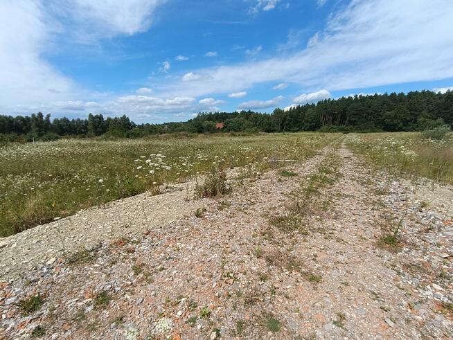 Działka budowlana Dyminy gm. Morawica, Przylesie