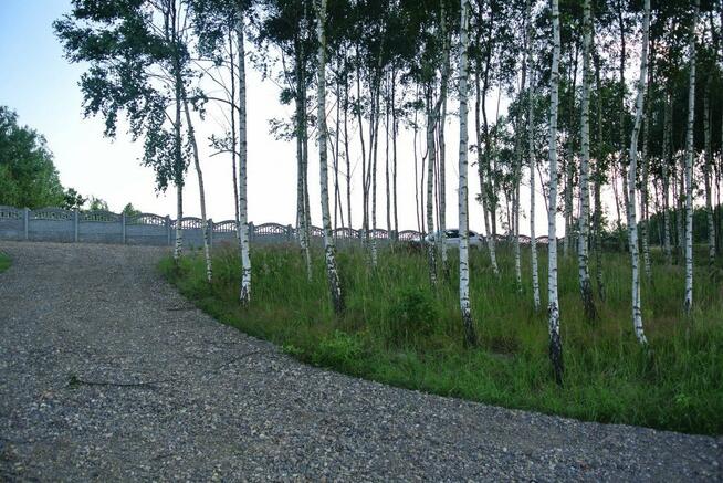 Działka rolna Bęczków gm. Górno