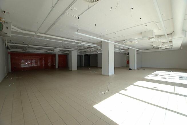 Lokal użytkowy Kielce Uroczysko, Klonowa