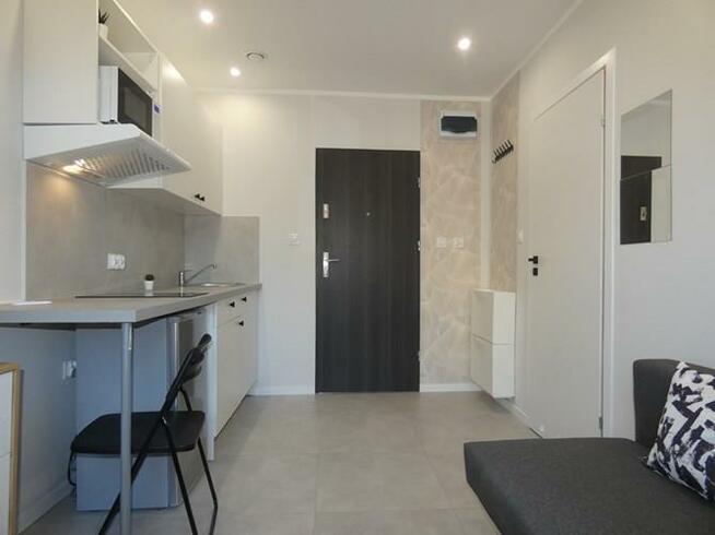 Kawalerka przyjazna zwierzętom, Cmentarna 24