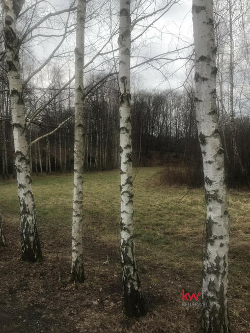 Działka budowlana Bielsko-Biała Hałcnów, Księżycowa