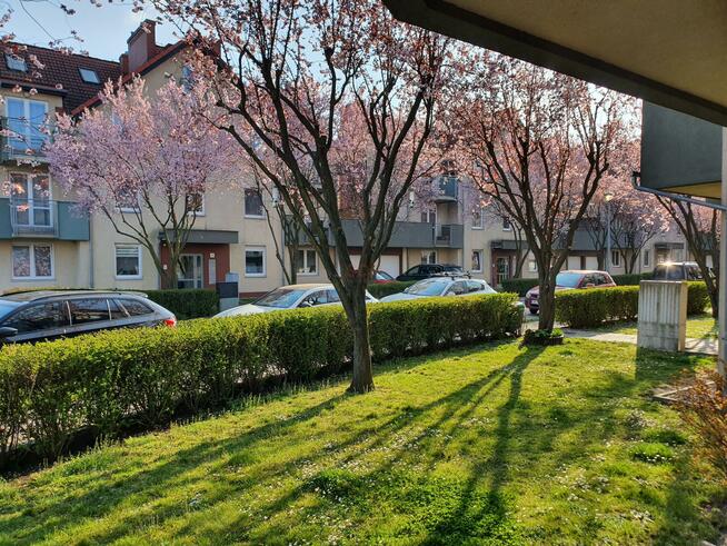 Mieszkanie Bielany Wrocławskie, Storczykowa