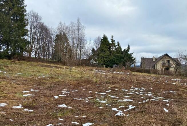 Dom Czarna Czarna Dolna