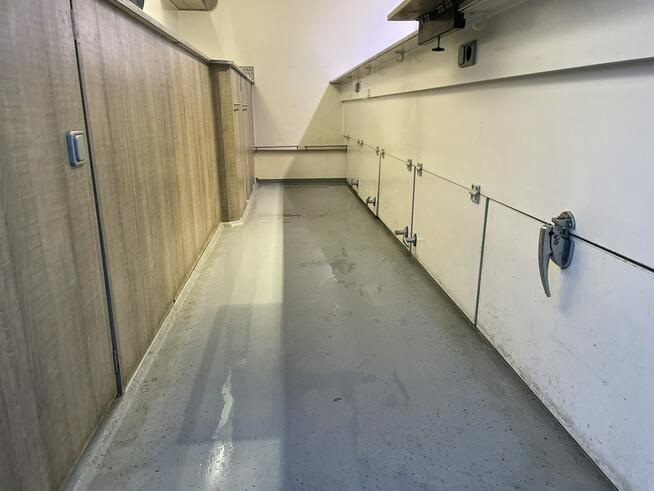 Fiat Ducato Autosklep wędlin Ryb Gastronomiczny Food Truck Foodtruck 116tkm 2019