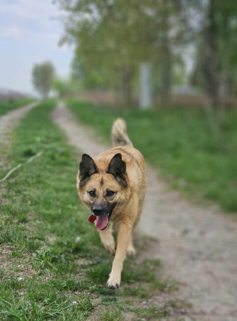 Nowy start i nowe dni – HANIA chce być częścią nich