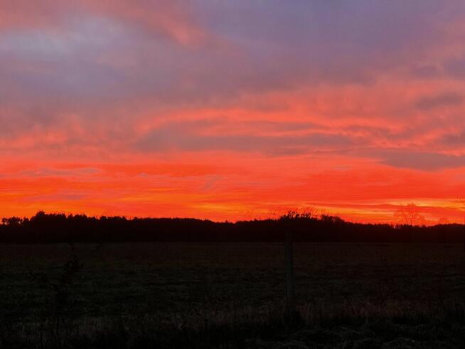 Bratnia dusza poszukiwana...