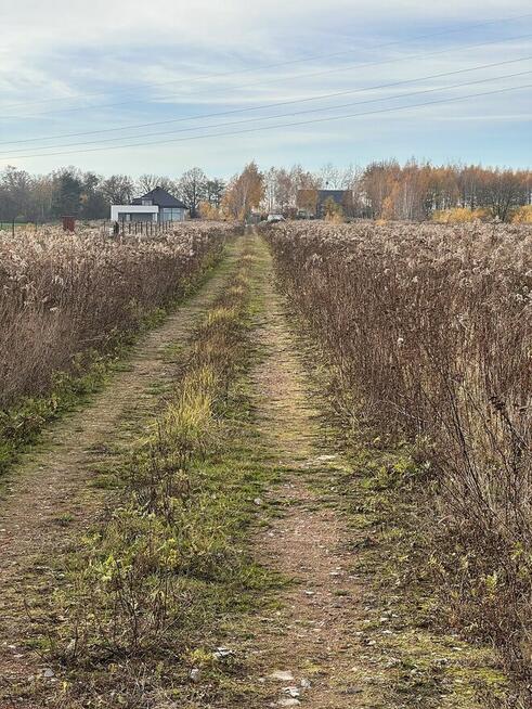 Działka budowlana- Byszewy, gm. Nowosolna