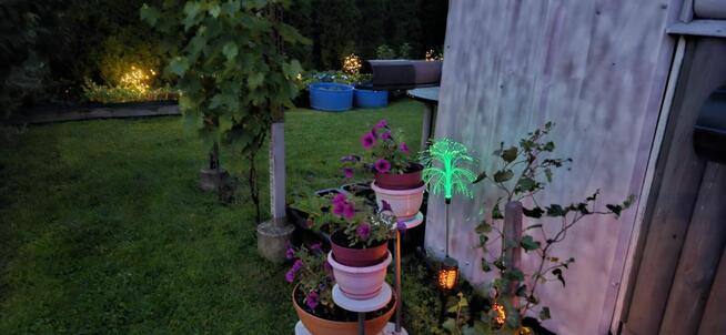 Działka ROD Białystok