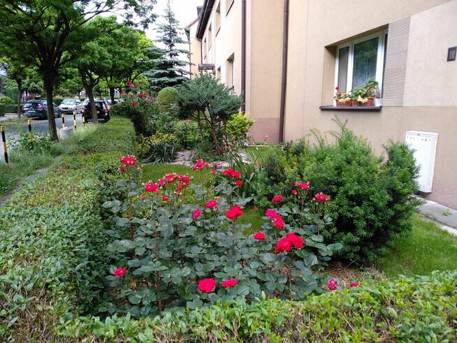 3-niezależne, przestronne pokoje, doskonała lokalizacja.