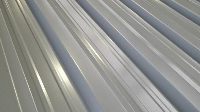 Tania Blacha Dachowa