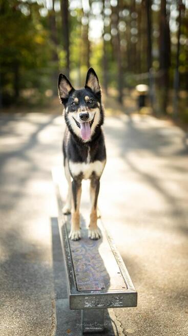 NUTKA szuka swojej piosenki– może twój dom da jej dźwięki?