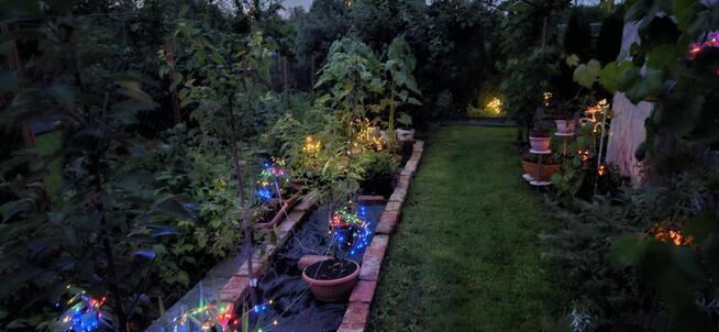 Działka ROD Białystok