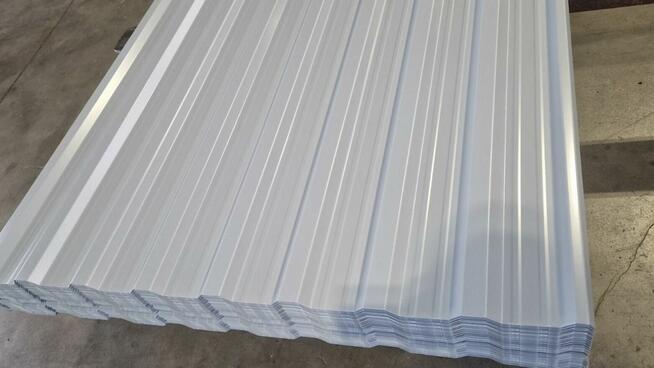 Tania Blacha Dachowa