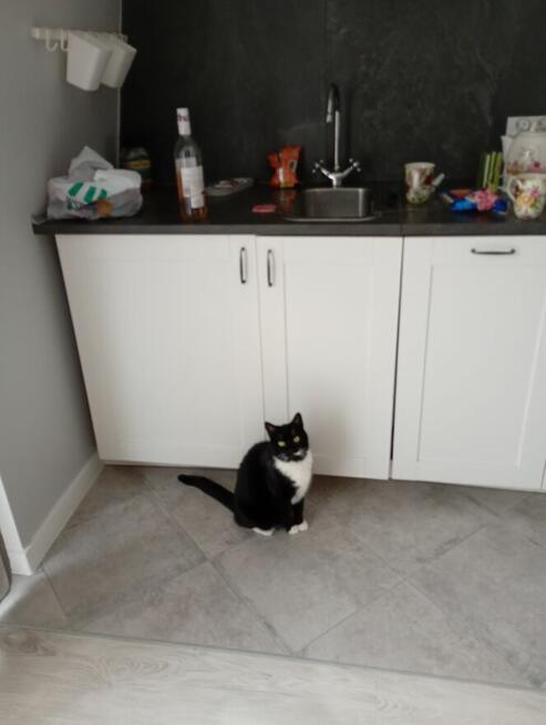 Opieka na 2 tygodnie