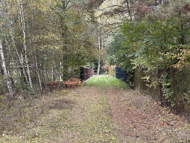 Kwiatkowiece Las- działka pod dom, cisza, las