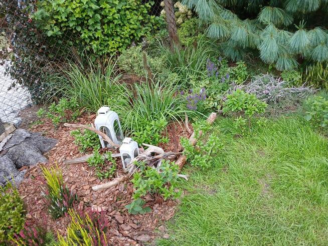 Dzialka Rod OkAzJa , MeGa ZaDbAnA