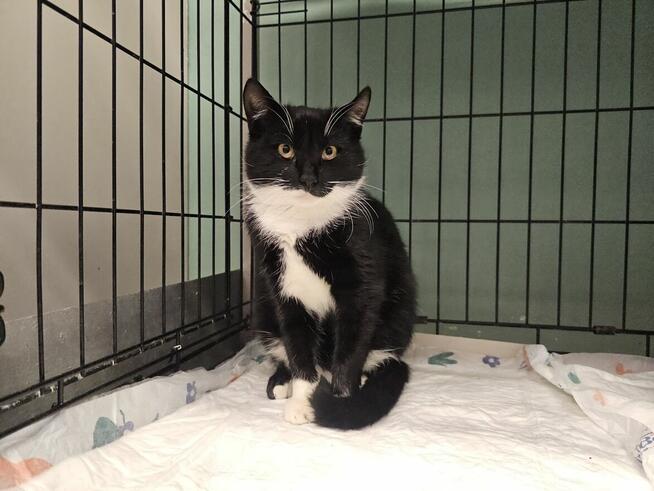 Mama z synkiem czekają na kochający dom