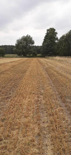 Działka 1,67ha rolno-budowlana-inwestycyjna w Lututów