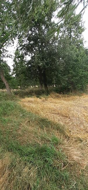 Działka 1,67ha rolno-budowlana-inwestycyjna w Lututów