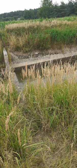 Działka 1,67ha rolno-budowlana-inwestycyjna w Lututów