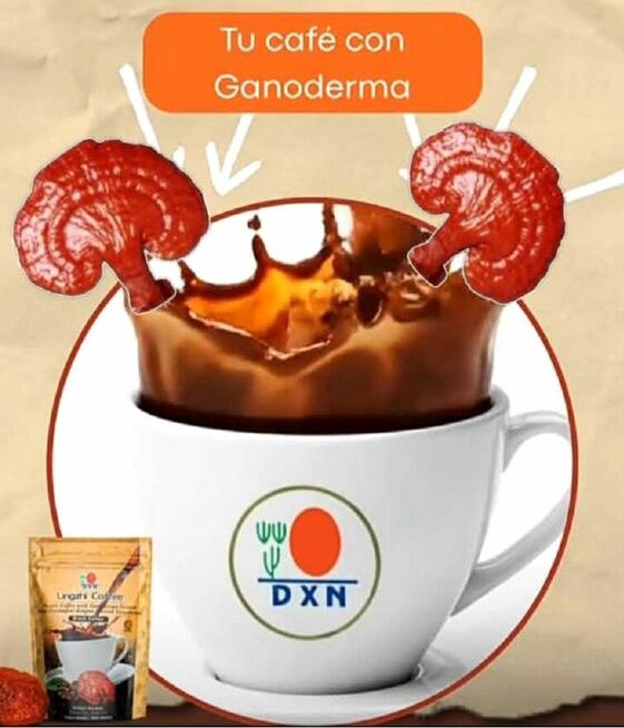 Poznaj produkty DXN – zamawiaj bez pośredników!