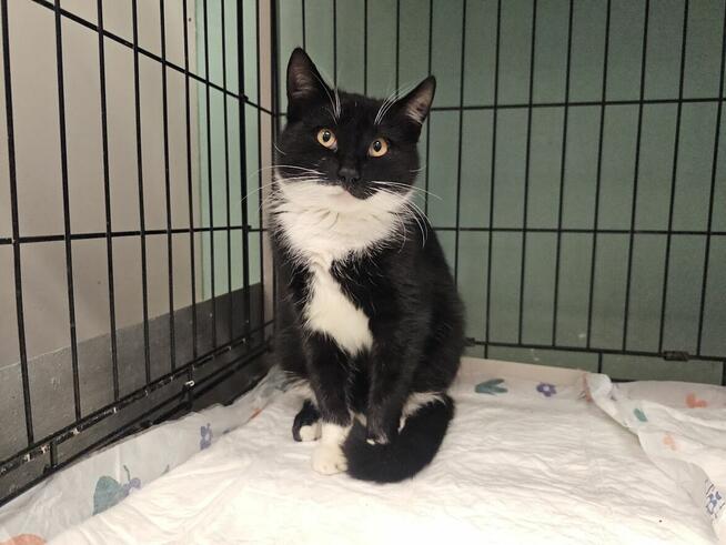 Mama z synkiem czekają na kochający dom