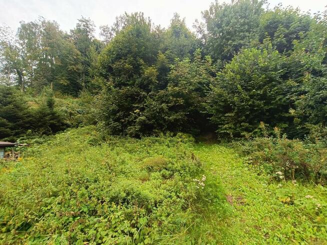 Nieruchomość gruntowa z zabudową - Wierzchowiska - 50%