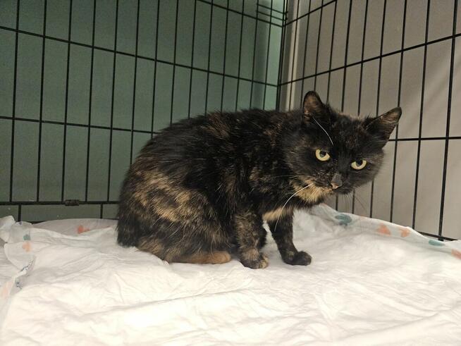 Mama z synkiem czekają na kochający dom