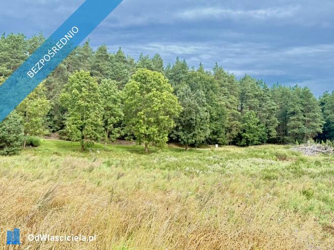 Duża działka 6000 m² w Demlinie – spokój, natura i szybki dojazd do miasta