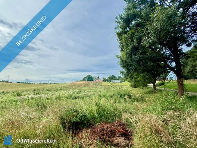 Duża działka 6000 m² w Demlinie – spokój, natura i szybki dojazd do miasta