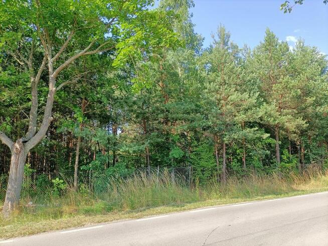 Działki budowlane w malowniczej części Przyłęka.